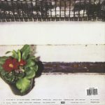 Fugazi – Red Medicine LP Plak - Görsel 2
