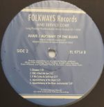 Sarah Webster Fabio – Jujus / Alchemy Of The Blues LP Plak - Görsel 4