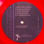 Betty Davis – Crashin' From Passion LP Plak - Görsel 4