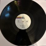 The Neighbourhood – Hard To Imagine The Neighbourhood Ever Changing 3LP Plak - Görsel 4