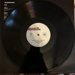 The Neighbourhood – Hard To Imagine The Neighbourhood Ever Changing 3LP Plak - Görsel 7