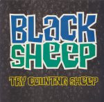 Black Sheep ‎– Try Counting Sheep 12'' Maxi Single