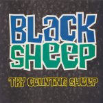 Black Sheep ‎– Try Counting Sheep 12'' Maxi Single