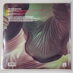 Redd – Simulakrum LP Plak - Görsel 2