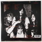 Terrorizer – World Downfall LP Plak - Görsel 2