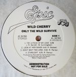 Wild Cherry – Only The Wild Survive LP Plak - Görsel 4