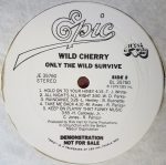 Wild Cherry – Only The Wild Survive LP Plak - Görsel 3