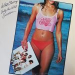 Wild Cherry – Only The Wild Survive LP Plak