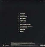 Foals – Holy Fire LP Plak - Görsel 2