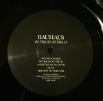 Bauhaus – In The Flat Field LP Plak - Görsel 3
