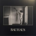 Bauhaus – In The Flat Field LP Plak