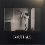 Bauhaus – In The Flat Field LP Plak