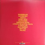 Wild Beasts – Present Tense LP Plak - Görsel 2