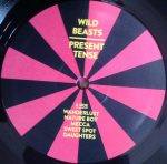 Wild Beasts – Present Tense LP Plak - Görsel 4