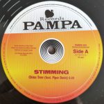 Stimming – Southern Sun 12'' Maxi Single (House)