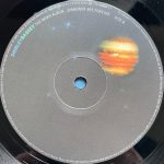 Shirley Bassey – The Remix Album...Diamonds Are Forever 2LP Plak (Electronic) - Görsel 6