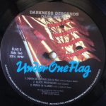 Dark Angel – Darkness Descends LP Plak - Görsel 4