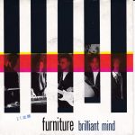 Furniture – Brilliant Mind 45lik Plak