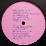 Punk Vs Ben E. King – Stand By Me 12” Maxi Single Plak (House) - Görsel 2