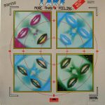 Lake – More Than A Feeling (Special Remix) 12” Maxi Single Plak