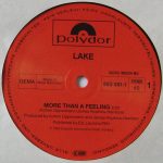 Lake – More Than A Feeling (Special Remix) 12” Maxi Single Plak - Görsel 3