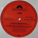 Lake – More Than A Feeling (Special Remix) 12” Maxi Single Plak - Görsel 4