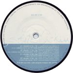 DJD Pres. The Hydraulic Dogs – Shake It For Me 12'' Maxi Single Plak (House) - Görsel 2