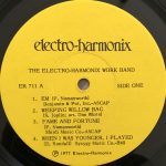 The Electro-Harmonix Work Band – State-Of-The-Art Electronic Devices LP Plak - Görsel 4