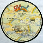 Skyy – Skyy Flyy (Cross-Fade Mix) LP Plak - Görsel 3