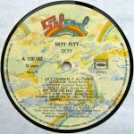 Skyy – Skyy Flyy (Cross-Fade Mix) LP Plak - Görsel 4