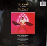 Paul Hardcastle – The Wizard (Extended Version) 12” Maxi Single Plak - Görsel 2