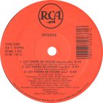 Deskee – Let There Be House12” Maxi Single Plak (Early House) - Görsel 3