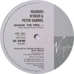 Youssou N'Dour & Peter Gabriel – Shakin' The Tree 12'' Maxi Single Plak - Görsel 3