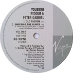 Youssou N'Dour & Peter Gabriel – Shakin' The Tree 12'' Maxi Single Plak - Görsel 4