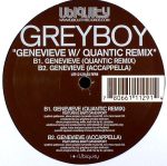 Greyboy – Genevieve 12'' Maxi Single Plak (Future Jazz)