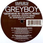 Greyboy – Genevieve 12'' Maxi Single Plak (Future Jazz)