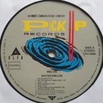 Snakeman Show Presents Melon And Exotic Sounds Of Water Melon Group – Pithecan Thropus Erectus LP Plak - Görsel 3