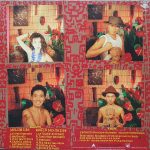 Snakeman Show Presents Melon And Exotic Sounds Of Water Melon Group – Pithecan Thropus Erectus LP Plak - Görsel 2