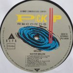 Snakeman Show Presents Melon And Exotic Sounds Of Water Melon Group – Pithecan Thropus Erectus LP Plak - Görsel 4
