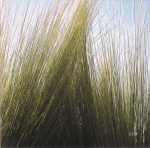 Charles Lloyd / Billy Higgins – Which Way Is East 2CD