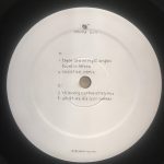 Eighty Mile Beach – There Are No Right Angles Found In Nature 12'' Maxi Single Plak (Downtempo) - Görsel 4