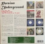 Persian Underground (Garage Rock, Beat And Psychedelic Sounds From The Iranian 60's & 70's Scene) LP Plak - Görsel 2