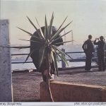 Eray Düzgünsoy – Şifalı Otlar İçin Postüdler CD