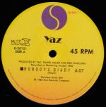 Yazoo – Nobody's Diary / State Farm 12'' Maxi Single Plak - Görsel 3