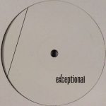 Ananda Project – Rain Down / Breaking Down 12'' Maxi Single Plak (Deep House) - Görsel 3