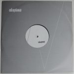 Ananda Project – Rain Down / Breaking Down 12'' Maxi Single Plak (Deep House) - Görsel 2