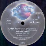Pointer Sisters – Jump (For My Love) 12'' Maxi Single Plak - Görsel 2