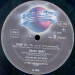 Pointer Sisters – Jump (For My Love) 12'' Maxi Single Plak - Görsel 3
