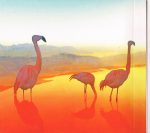 Scissor Sisters – Magic Hour CD (Electronic) - Görsel 4