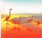 Scissor Sisters – Magic Hour CD (Electronic) - Görsel 5